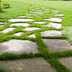 Allée en fer plat à interstice gazonnée,
